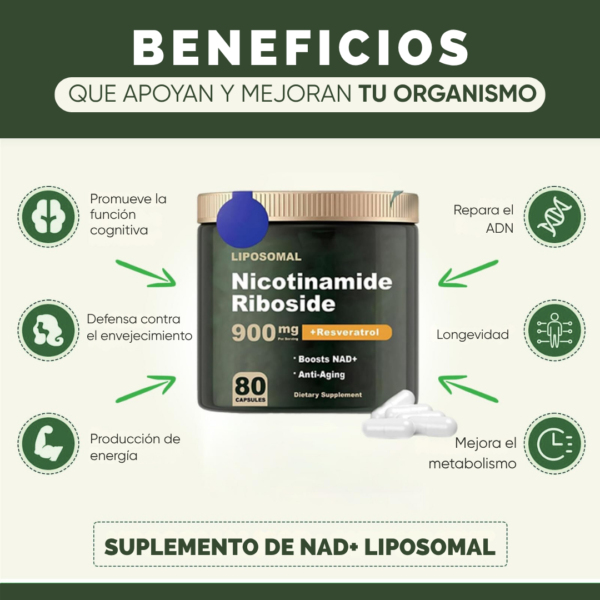 1752899616Nicotinamida 5 (1) NAD + Resveratrol