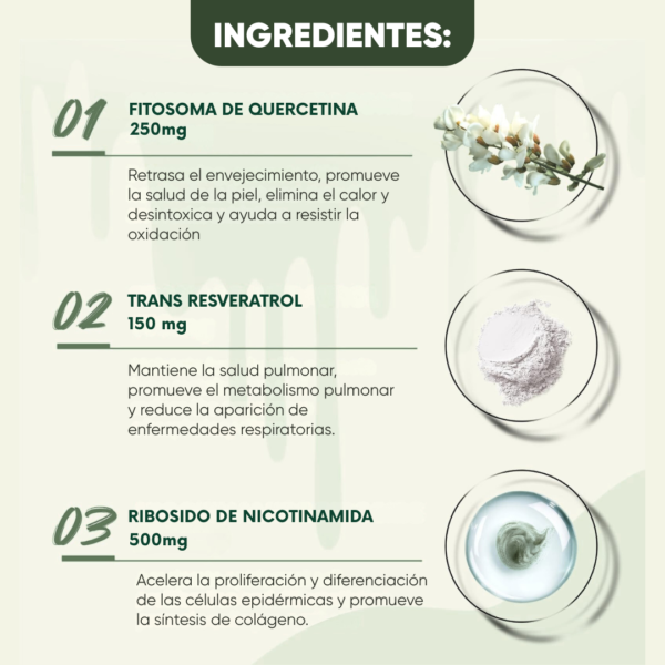 1752899617Nicotinamida 3 NAD + Resveratrol
