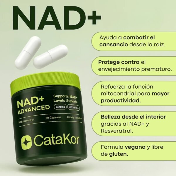 17604747682 NAD NAD + Resveratrol CATA KOR