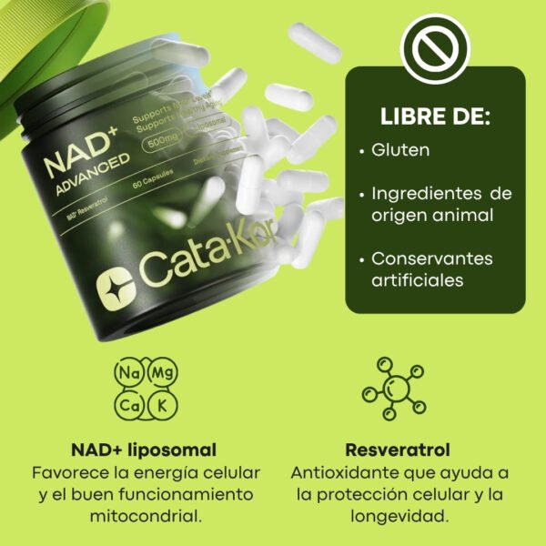17604747684 NAD NAD + Resveratrol CATA KOR